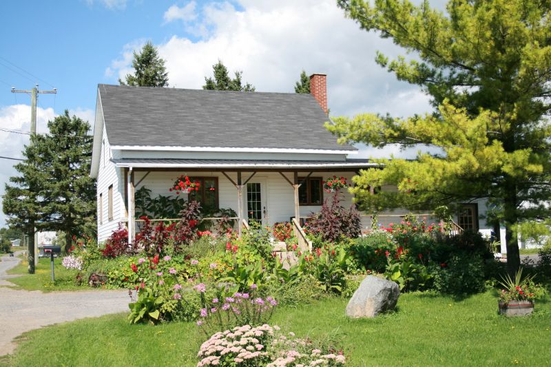 Back Yard Renovation