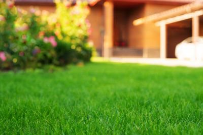 Products For Back Yard Renovations in use